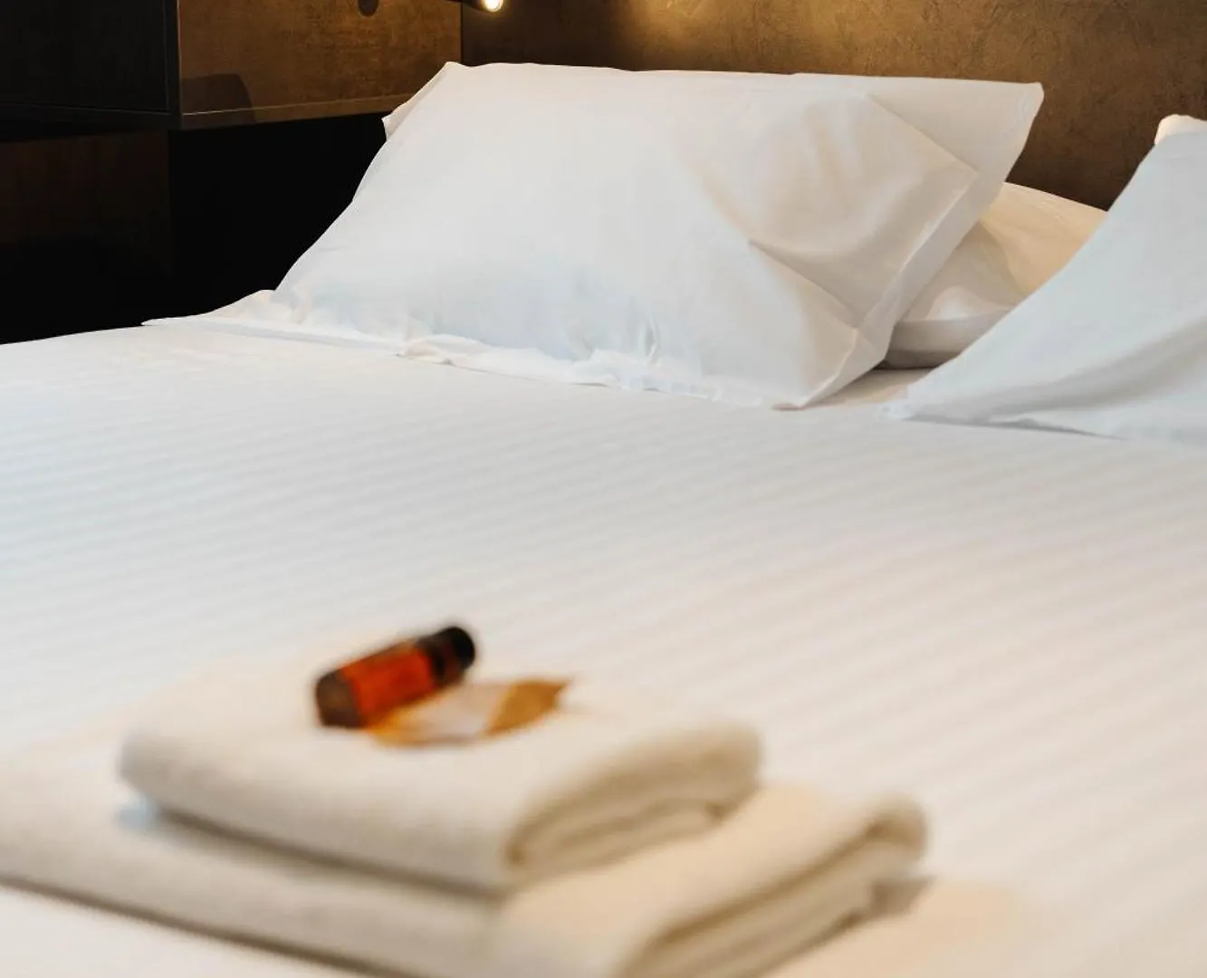 Hotel Hostellerie Du Petit Saint Bernard Bourg-Saint-Maurice France